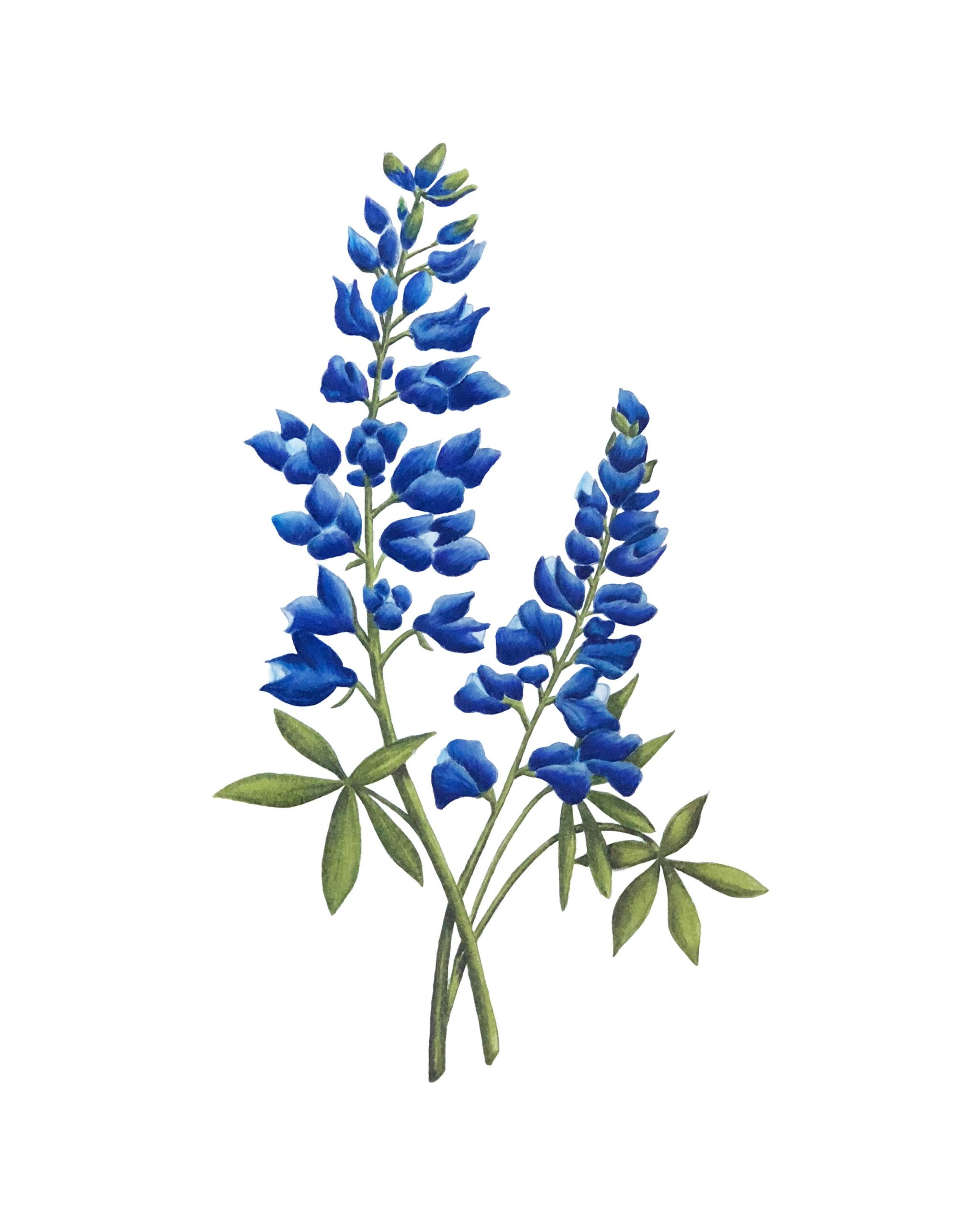 c3d9898e3487e002130466ef6087b915